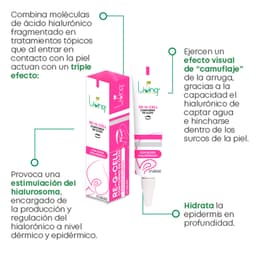 RE-G-CELL - Imagen 2