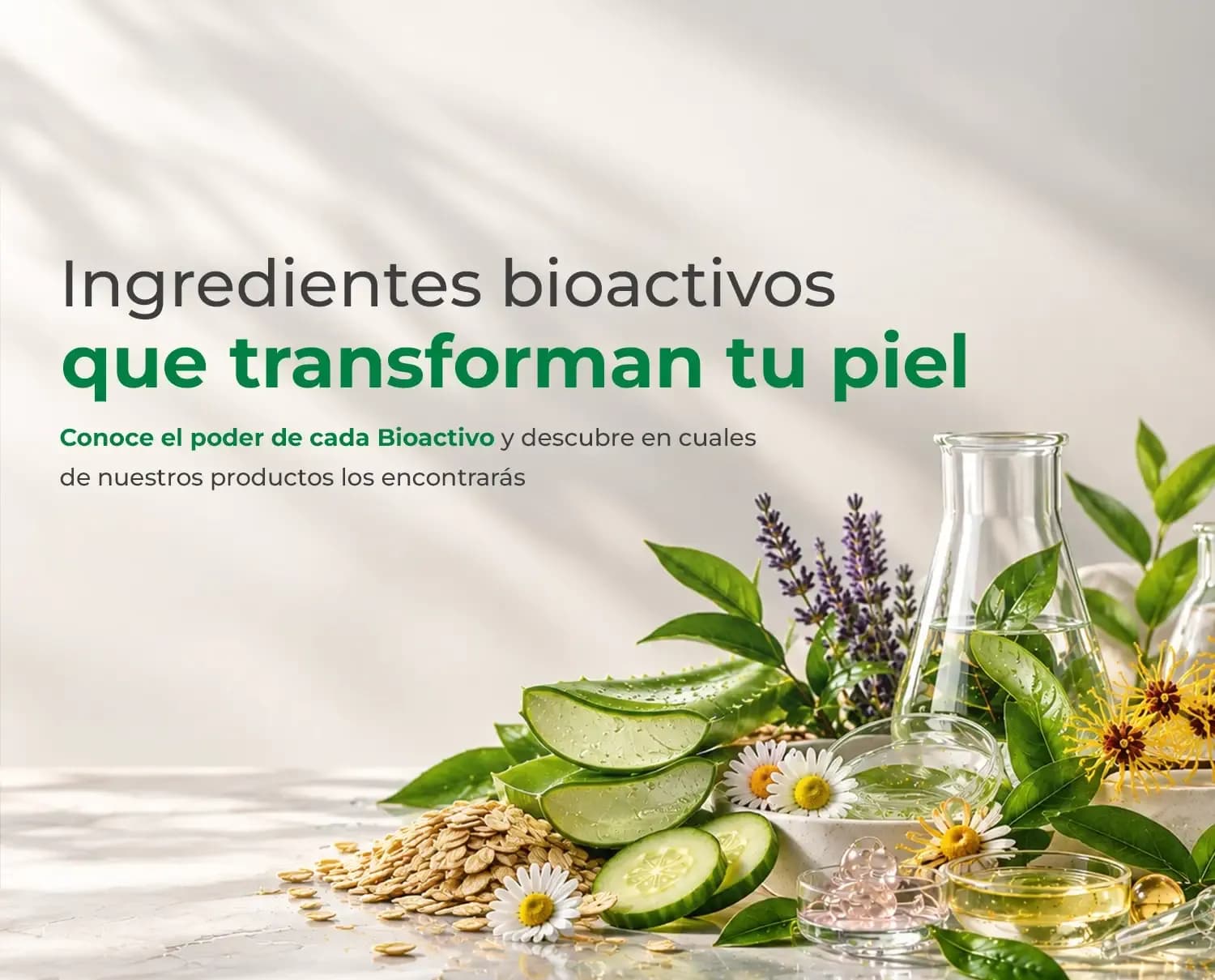 Bioactivos Banner Mobile